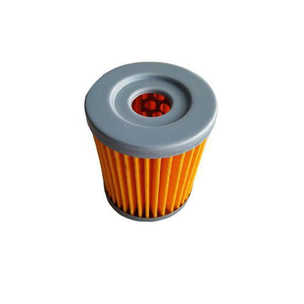 Imagen de Filtro Aceite Suzuki Dr200 Qingqi20 Qm200gy Moxal