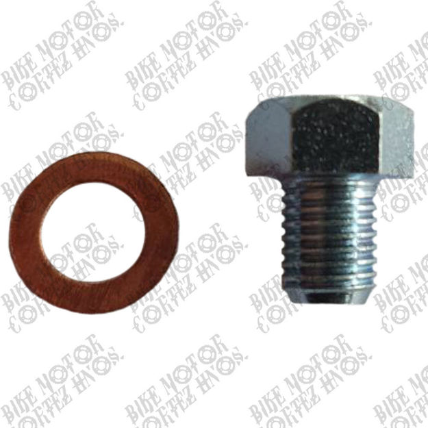 Imagen de Perno Tapon Arandela Carter Inferior Suzuki Ax100 Imbra 101125